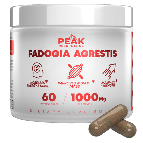 Fadogia Agrestis Supplement 1000mg