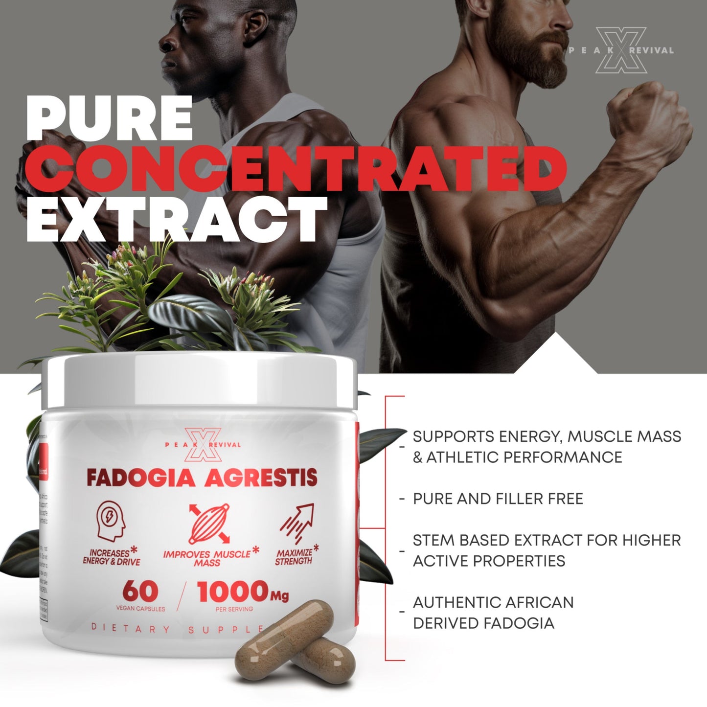Fadogia Agrestis Supplement 1000mg