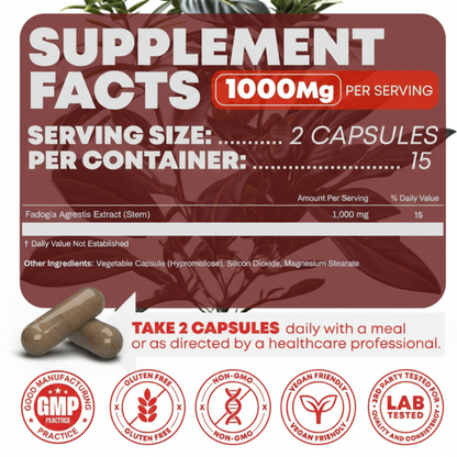 Alpha Muscle Stack – 2000mg Total Strength Formula | Turkesterone + Tongkat Ali + Fadogia Agrestis